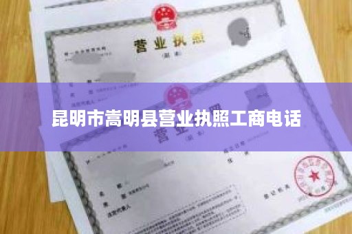 昆明市嵩明县营业执照工商电话