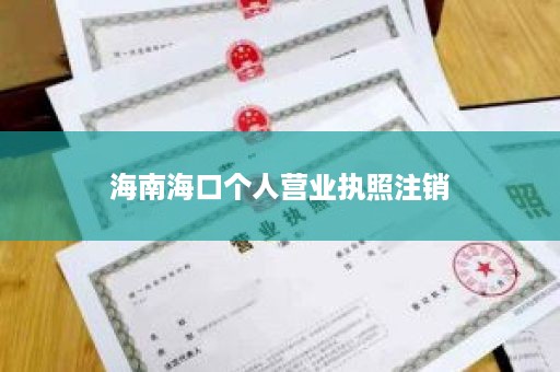 海南海口个人营业执照注销