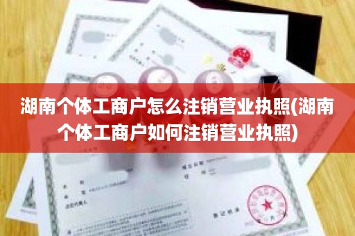 湖南个体工商户怎么注销营业执照(湖南个体工商户如何注销营业执照)