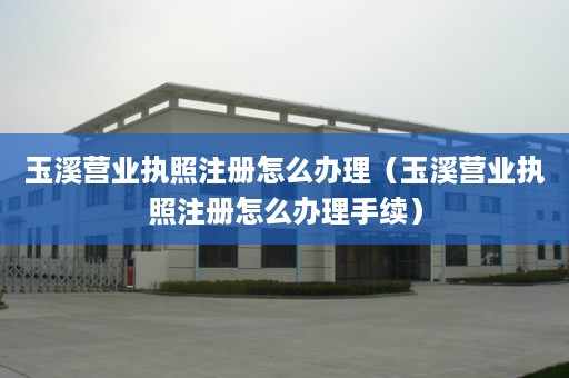 玉溪营业执照注册怎么办理（玉溪营业执照注册怎么办理手续）