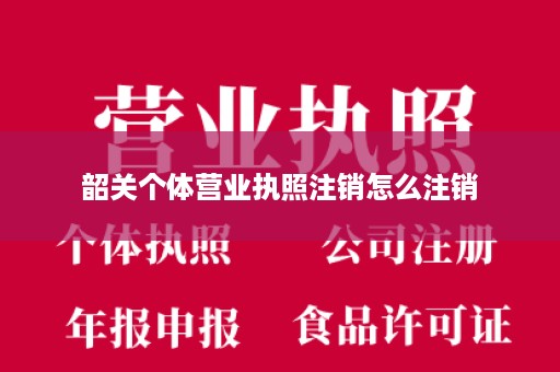 韶关个体营业执照注销怎么注销
