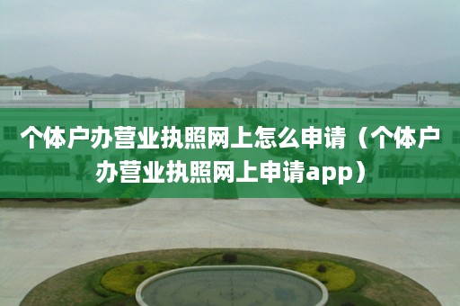 个体户办营业执照网上怎么申请（个体户办营业执照网上申请app）