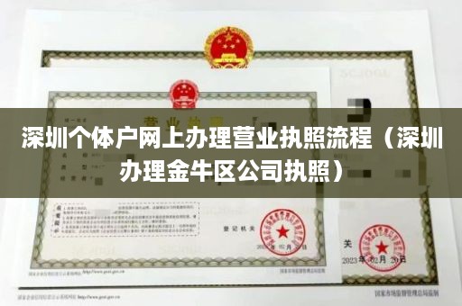 深圳个体户网上办理营业执照流程（深圳办理金牛区公司执照）