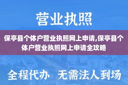保亭县个体户营业执照网上申请,保亭县个体户营业执照网上申请全攻略
