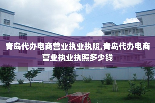 青岛代办电商营业执业执照,青岛代办电商营业执业执照多少钱