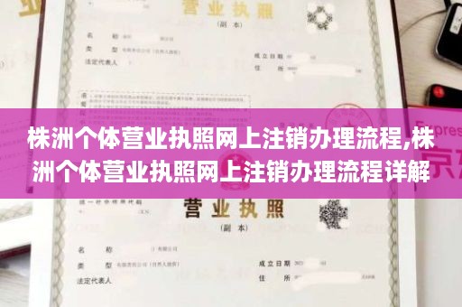 株洲个体营业执照网上注销办理流程,株洲个体营业执照网上注销办理流程详解