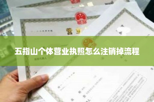五指山个体营业执照怎么注销掉流程