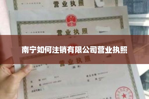 南宁如何注销有限公司营业执照