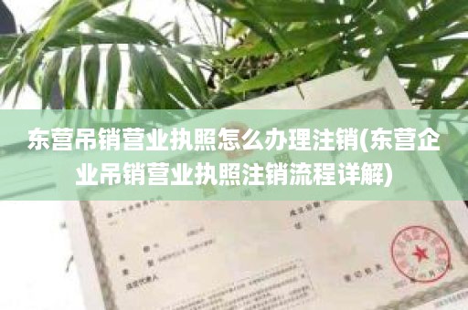 东营吊销营业执照怎么办理注销(东营企业吊销营业执照注销流程详解)