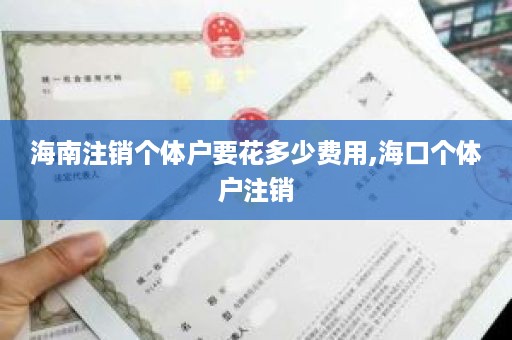 海南注销个体户要花多少费用,海口个体户注销