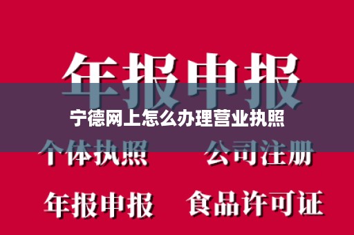 宁德网上怎么办理营业执照