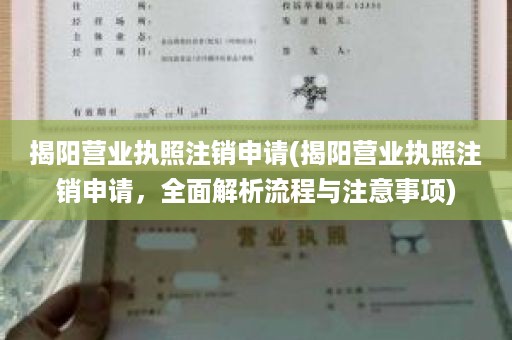 揭阳营业执照注销申请(揭阳营业执照注销申请，全面解析流程与注意事项)