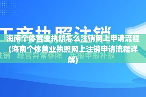 海南个体营业执照怎么注销网上申请流程(海南个体营业执照网上注销申请流程详解)