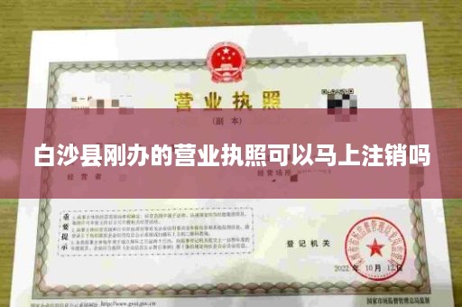 白沙县刚办的营业执照可以马上注销吗