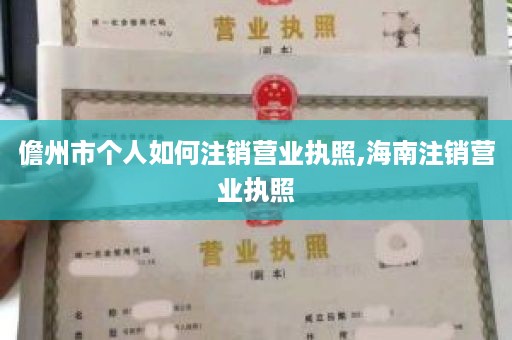 儋州市个人如何注销营业执照,海南注销营业执照