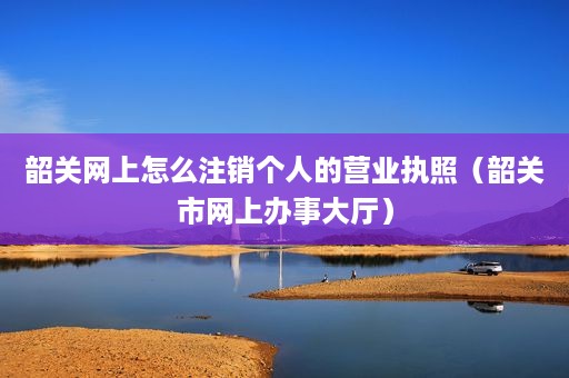 韶关网上怎么注销个人的营业执照（韶关市网上办事大厅）