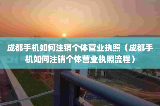 成都手机如何注销个体营业执照（成都手机如何注销个体营业执照流程）