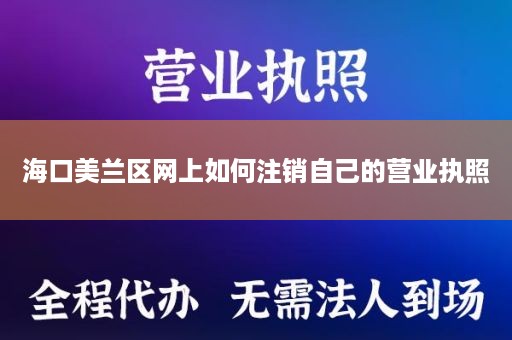 海口美兰区网上如何注销自己的营业执照