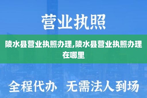 陵水县营业执照办理,陵水县营业执照办理在哪里