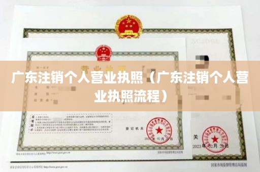 广东注销个人营业执照（广东注销个人营业执照流程）
