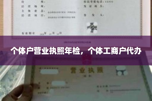 个体户营业执照年检，个体工商户代办