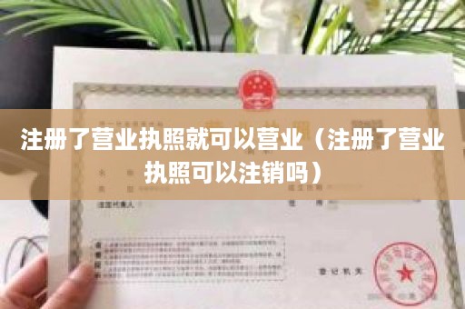 注册了营业执照就可以营业（注册了营业执照可以注销吗）