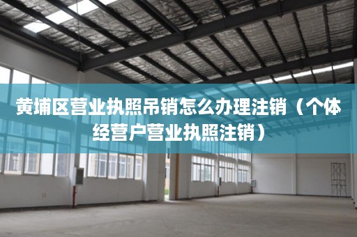 黄埔区营业执照吊销怎么办理注销（个体经营户营业执照注销）