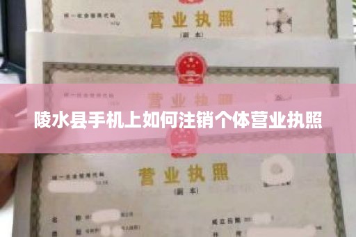 陵水县手机上如何注销个体营业执照
