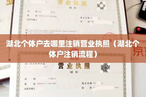 湖北个体户去哪里注销营业执照（湖北个体户注销流程）