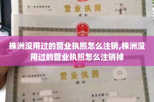 株洲没用过的营业执照怎么注销,株洲没用过的营业执照怎么注销掉