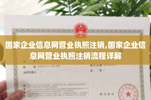 国家企业信息网营业执照注销,国家企业信息网营业执照注销流程详解