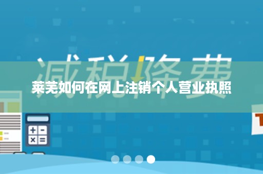 莱芜如何在网上注销个人营业执照