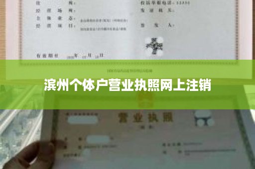 滨州个体户营业执照网上注销