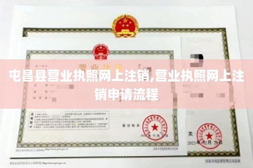 屯昌县营业执照网上注销,营业执照网上注销申请流程