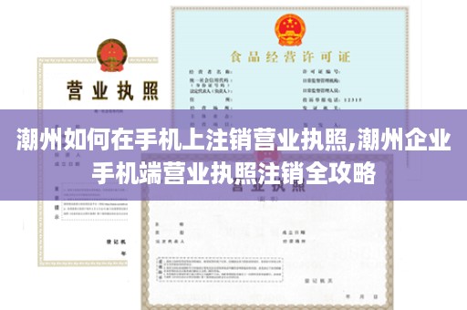 潮州如何在手机上注销营业执照,潮州企业手机端营业执照注销全攻略