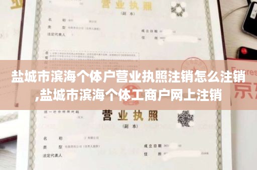 盐城市滨海个体户营业执照注销怎么注销,盐城市滨海个体工商户网上注销