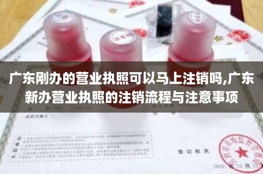 广东刚办的营业执照可以马上注销吗,广东新办营业执照的注销流程与注意事项