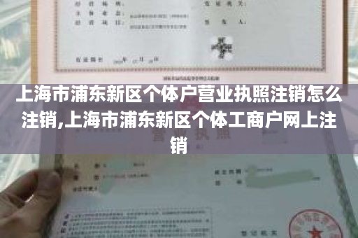 上海市浦东新区个体户营业执照注销怎么注销,上海市浦东新区个体工商户网上注销