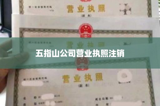 五指山公司营业执照注销