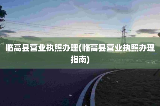 临高县营业执照办理(临高县营业执照办理指南)