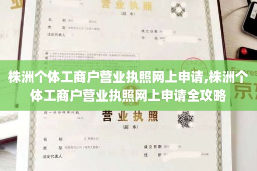 株洲个体工商户营业执照网上申请,株洲个体工商户营业执照网上申请全攻略