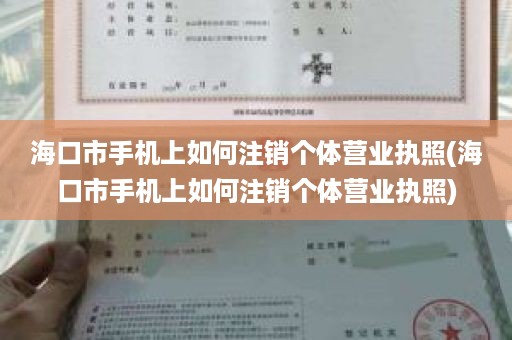 海口市手机上如何注销个体营业执照(海口市手机上如何注销个体营业执照)