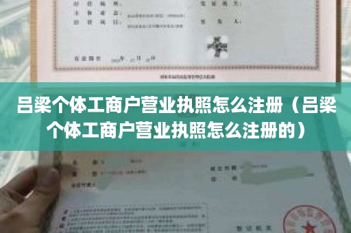 吕梁个体工商户营业执照怎么注册（吕梁个体工商户营业执照怎么注册的）