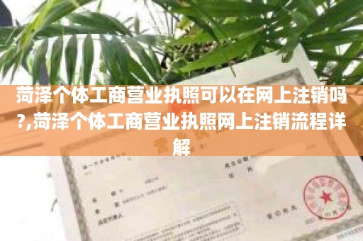 菏泽个体工商营业执照可以在网上注销吗?,菏泽个体工商营业执照网上注销流程详解