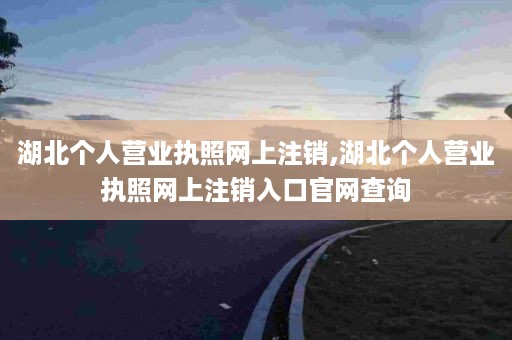 湖北个人营业执照网上注销,湖北个人营业执照网上注销入口官网查询