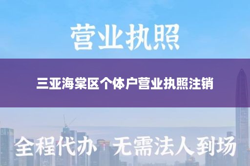 三亚海棠区个体户营业执照注销
