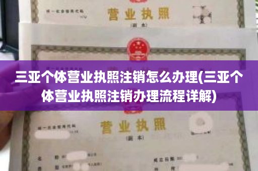 三亚个体营业执照注销怎么办理(三亚个体营业执照注销办理流程详解)