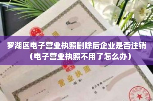 罗湖区电子营业执照删除后企业是否注销（电子营业执照不用了怎么办）