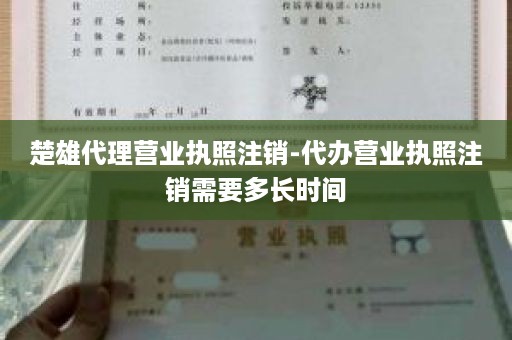 楚雄代理营业执照注销-代办营业执照注销需要多长时间