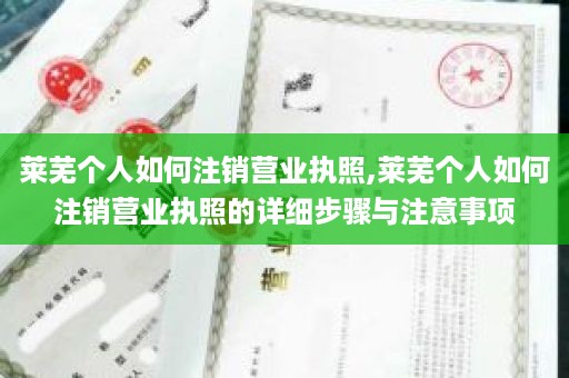 莱芜个人如何注销营业执照,莱芜个人如何注销营业执照的详细步骤与注意事项